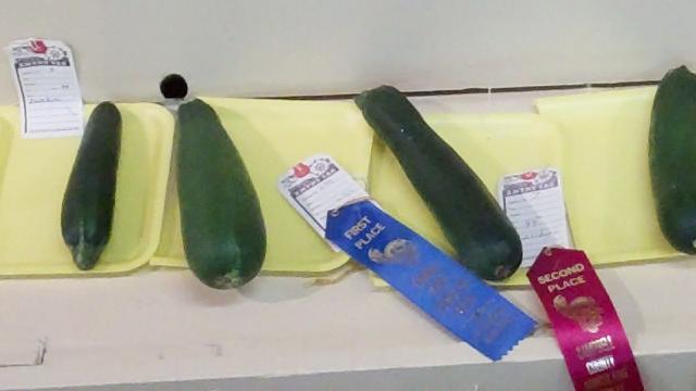 Zucchini Ribbon Small.JPG