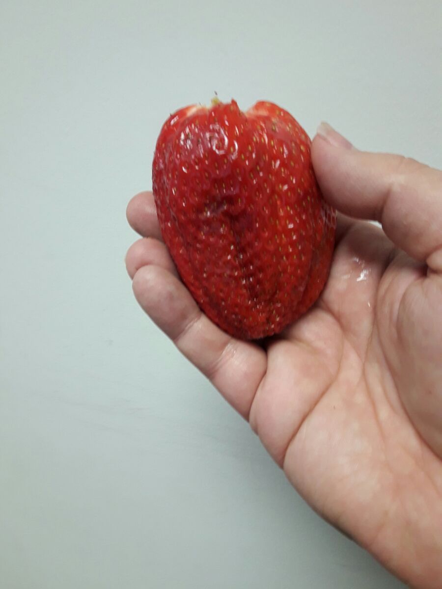 Strawberry.jpg